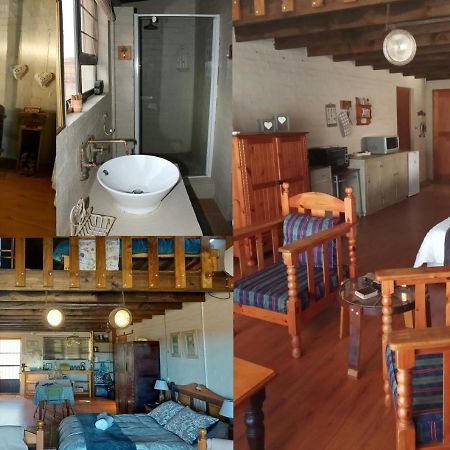 Pureplaas Self Catering Volmoed Oudtshoorn Klein Karoo Apartment Luaran gambar