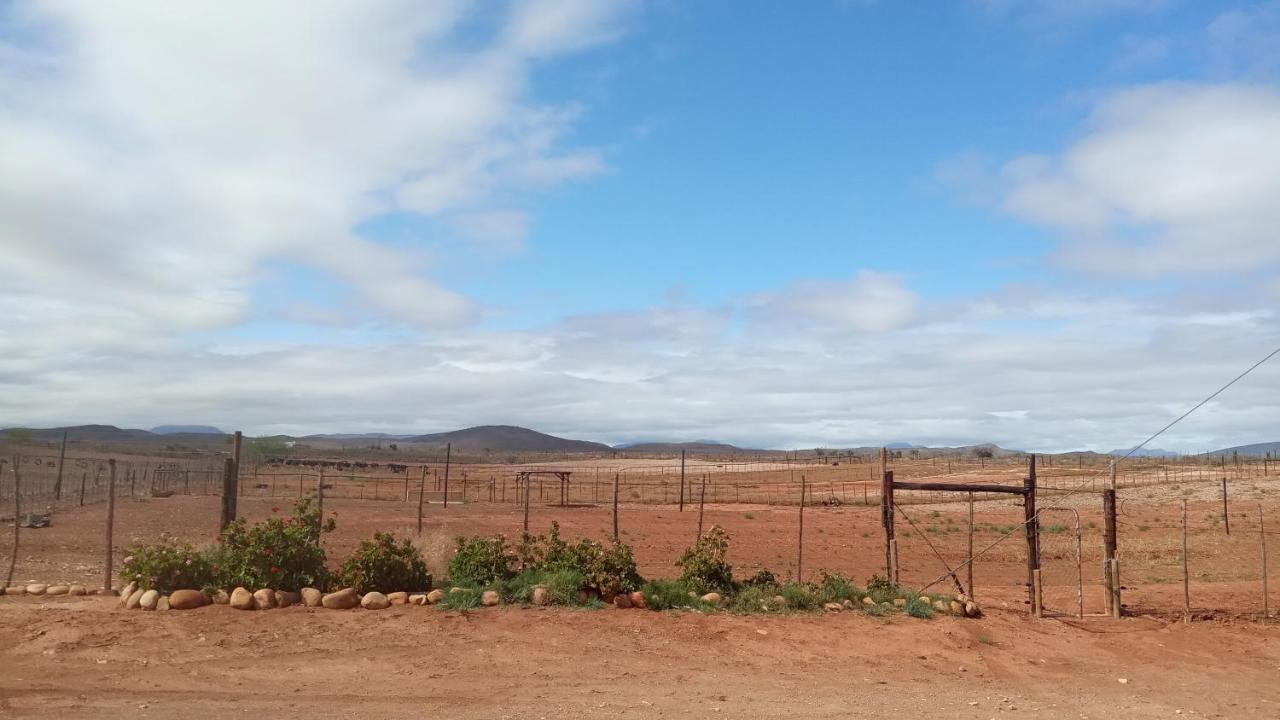 Pureplaas Self Catering Volmoed Oudtshoorn Klein Karoo Apartment Luaran gambar