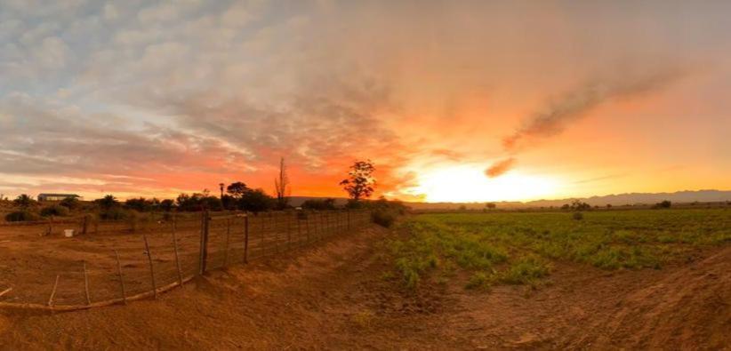 Pureplaas Self Catering Volmoed Oudtshoorn Klein Karoo Apartment Luaran gambar